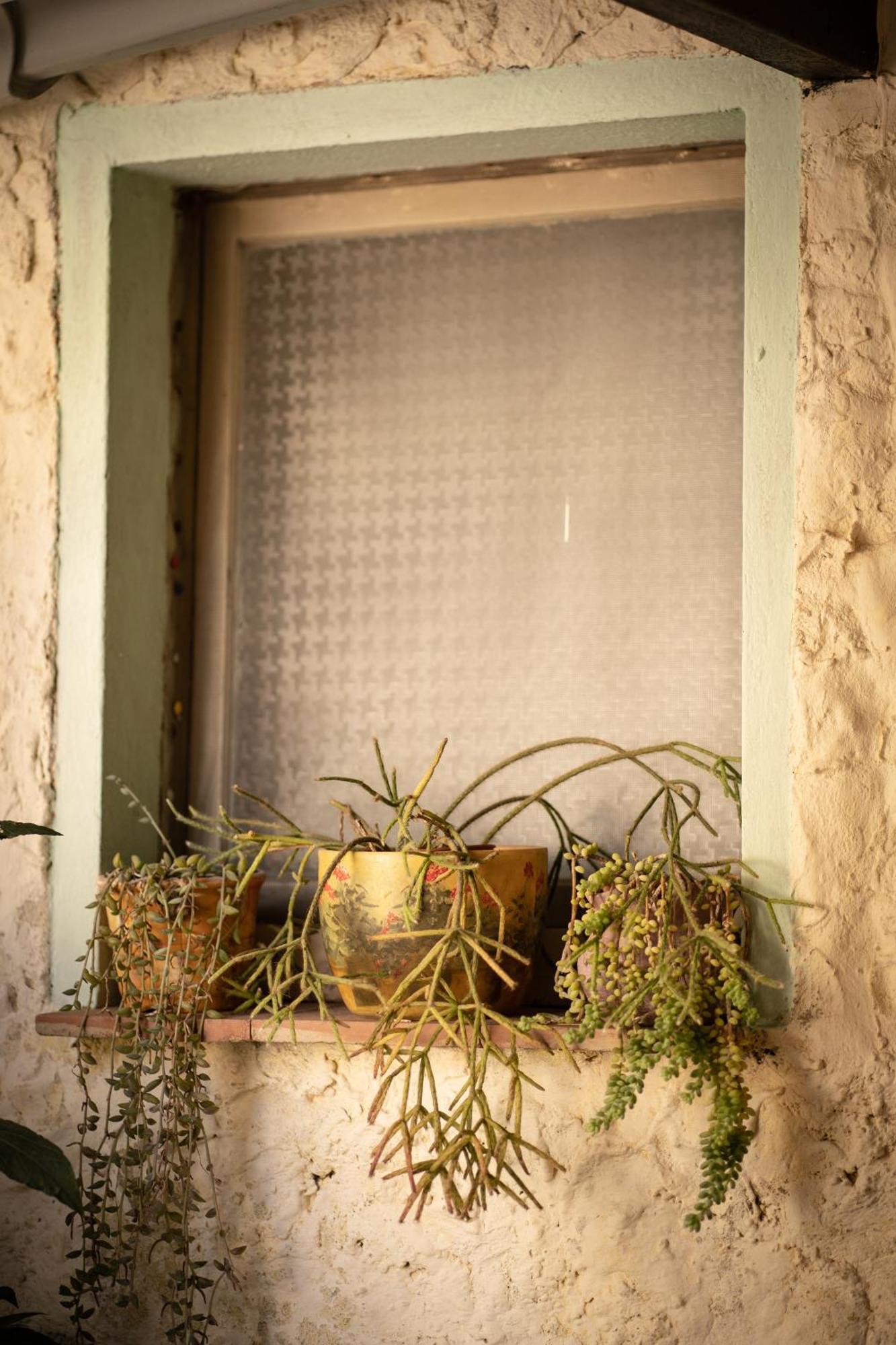 Bed and Breakfast Sa Domu De Ladiri - Matrimoniale Con Giardino Musei Экстерьер фото